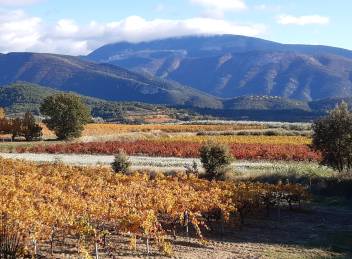 Appellations protégées et développement durable